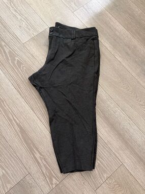 torrid 26 Gray Studio Pixie Pants